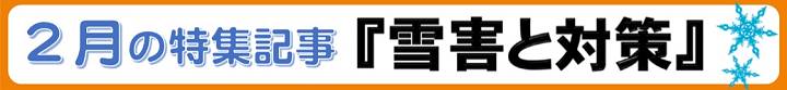 雪対策