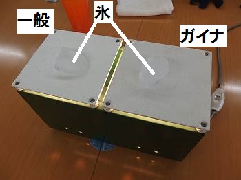 ガイナ