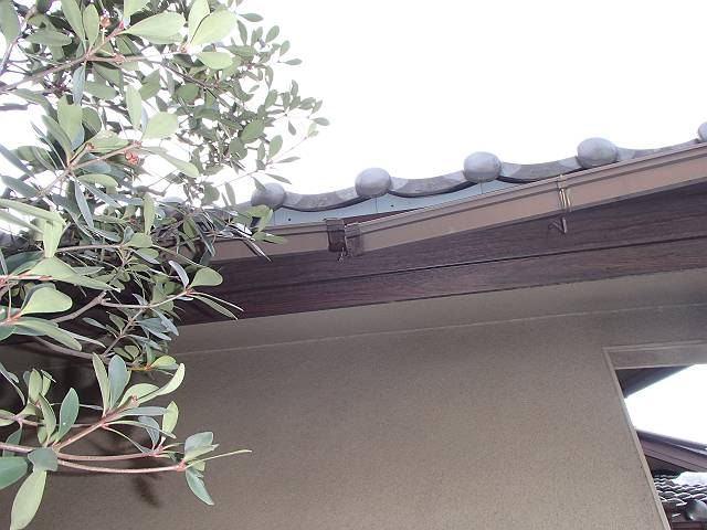 P2194065_s.JPG