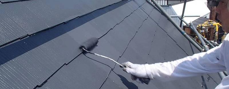 P5200002_M_M.JPG