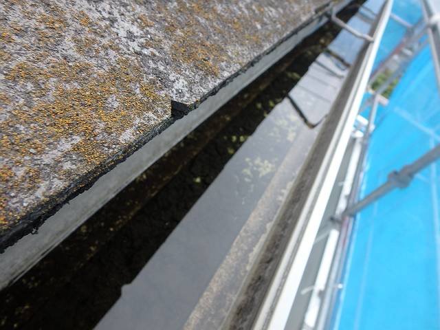 P7020897_s.JPG