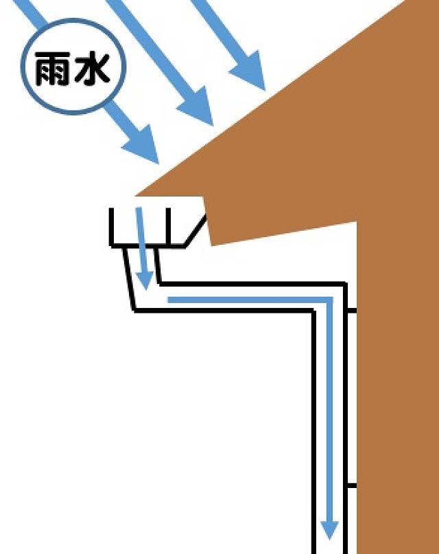 amadoizu1_s.jpg