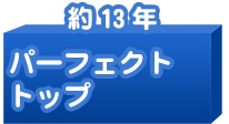 パーフェクトトップ