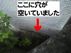 ②確かに裾のほうに「穴」らしきものが見えました。.jpg