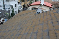 IMG_0190.jpg