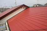 IMG_1843.jpg