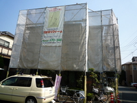 P1000173.jpg