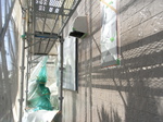 R0014770.jpg