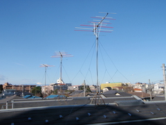 20090412_190.JPG
