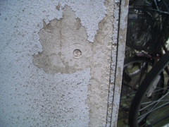 CIMG1701.JPG