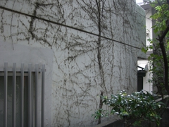 CIMG1702.JPG