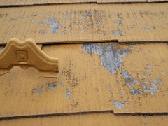 P2090288.JPG