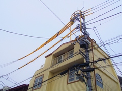 P3140445 - コピー.JPG