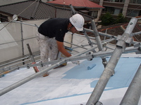 P6050020.jpg