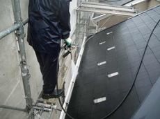 DSCI0609.JPG