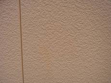 RIMG0996-s.JPG