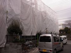 RIMG2081-s.JPG