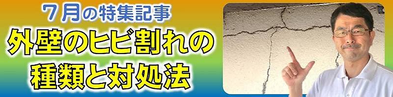 7月の特集記事