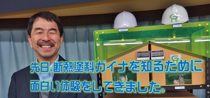 ガイナ
