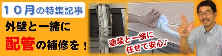 10月の特集記事