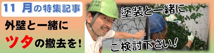 11月
